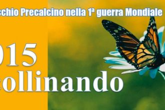 Scollianndo, Montecchio Precalcino 2015
